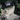 Ochiai Shohei x New Era
